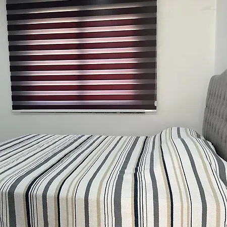 Apartament Sare Life 1 *